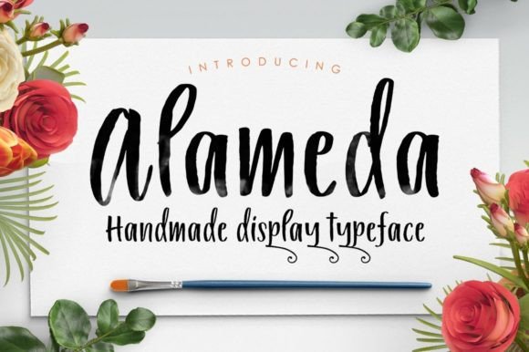 Alameda Font for Modern Branding and Professional Design