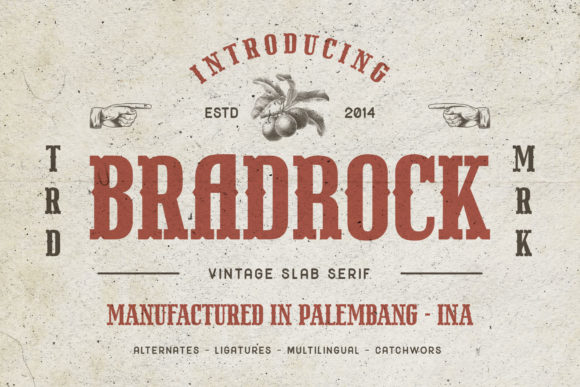 Bradrock: The Vintage Serif Font That Boosts Campaign Clarity